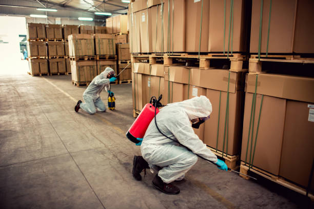 Best Cockroach Control Services  in Greenland, AR