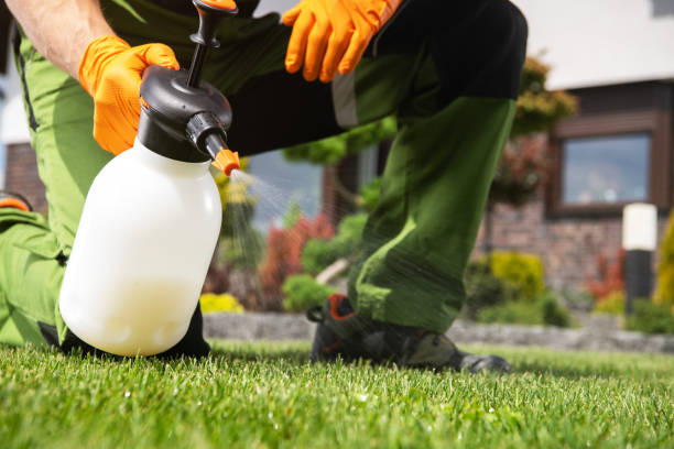 Reliable Greenland, AR Pest Control Solutions