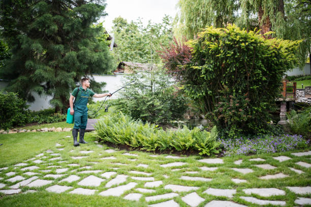 Best Affordable Pest Control Services  in Greenland, AR