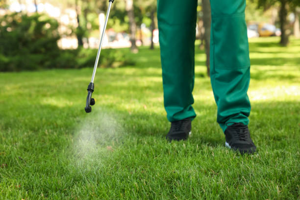 Best Emergency Pest Control  in Greenland, AR
