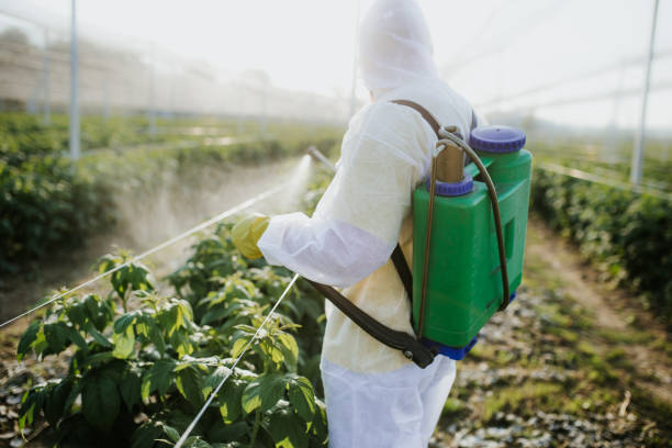Best Best Pest Control Companies  in Greenland, AR